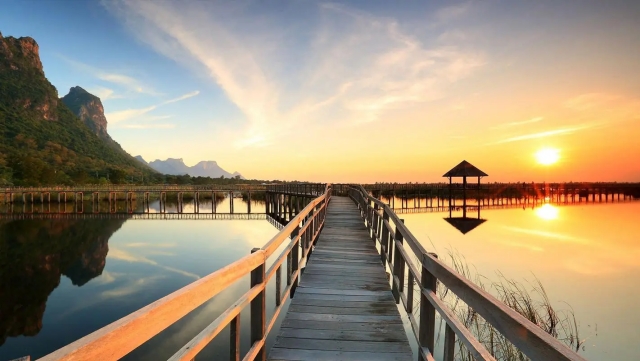 Q2：如何将《集合啦！动物森友会》与 Nintendo Switch Online 应用进行绑定？